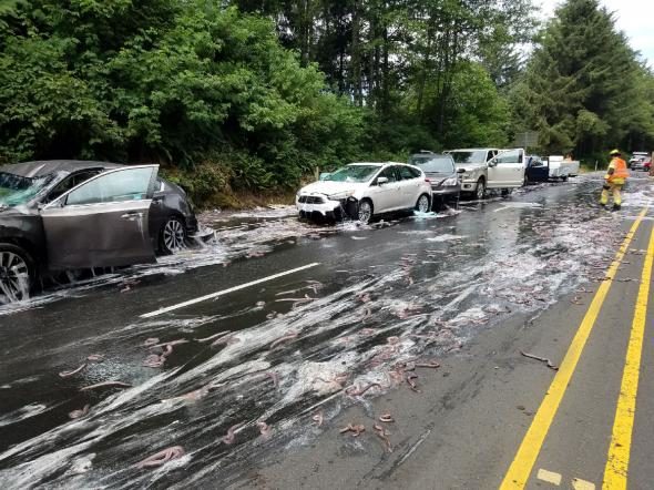 hagfish oregon