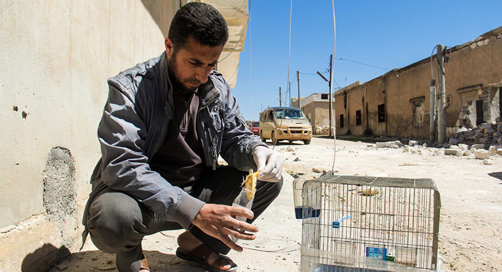Alledged sarin gas attack in Syria