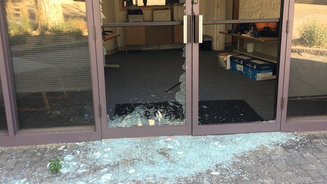 Click to enlarge goats break into louisville colorado business
