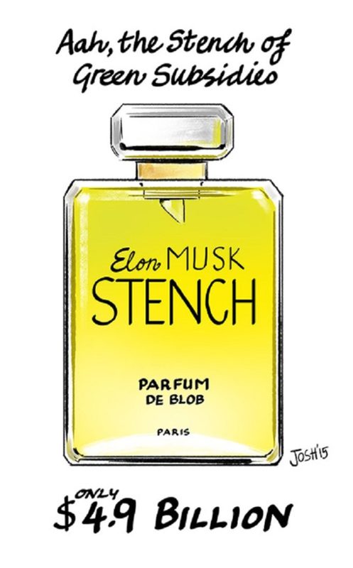 Click to enlarge Elan Musk