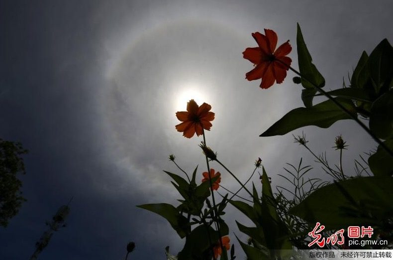 Click to enlarge Solar halo over China