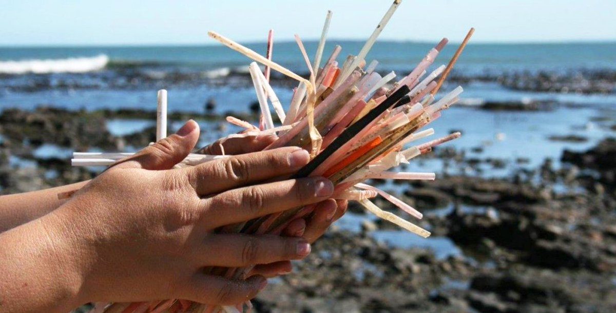 straws suck
