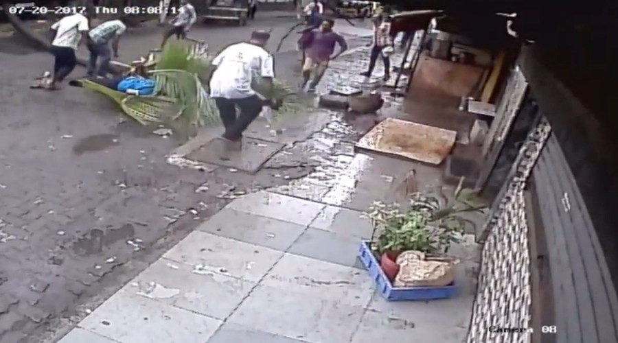 Tree falls on woman