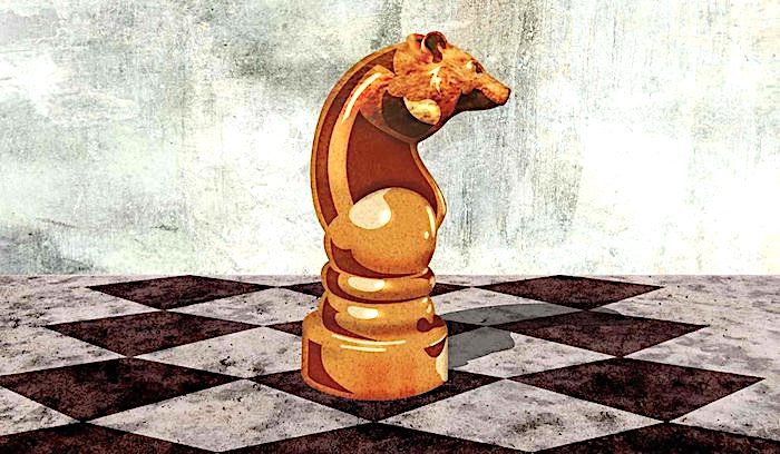 Chessbear