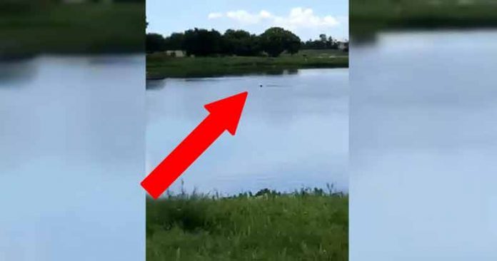 Cocoa Florida teens watch man drown
