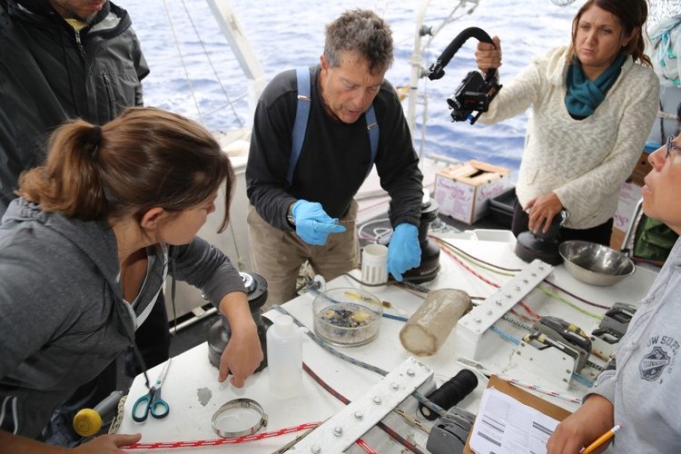 Charles Moore aboard a research vessel.