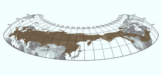 Maximum extension of the woolly mammoth during the Late Pleistocene