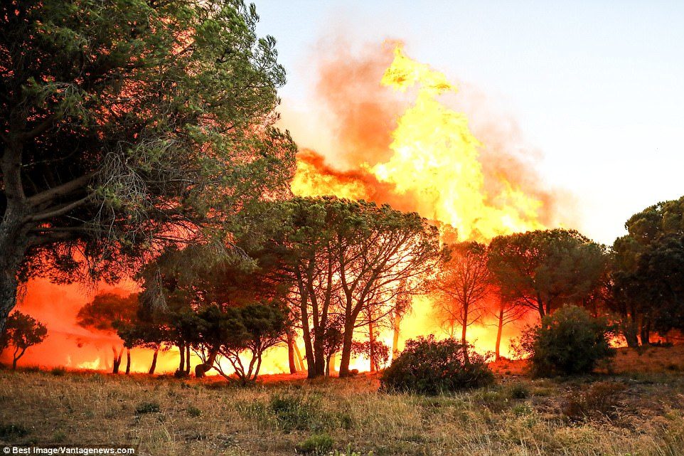 A raging fire is sweeping through woodland in the hills of Gigaro in La Croix-Valmer near Saint Tropez
