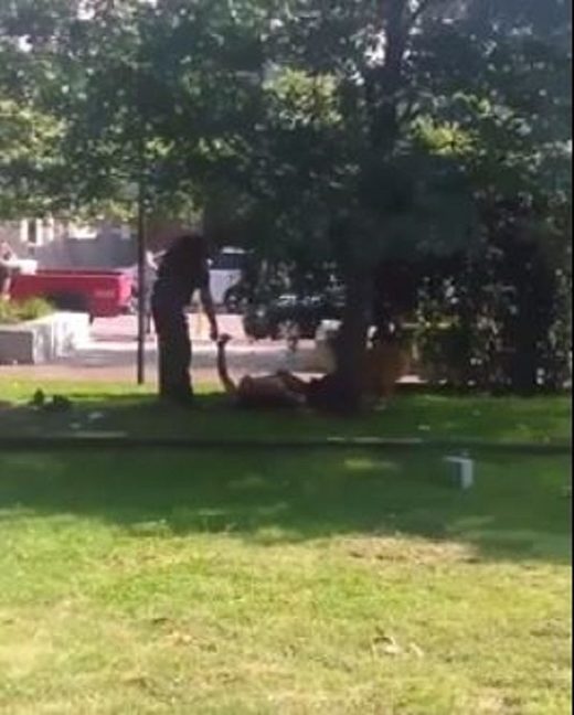 police dog attack
