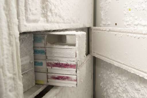 Click to enlarge Yeast cultures man-made DNA
