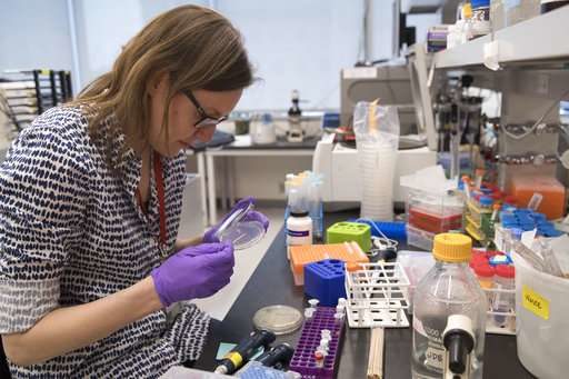Click to enlarge NYU post doctoral fellow Leslie Mitchell