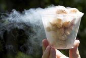 Comet corn, flash frozen in liquid nitrogen