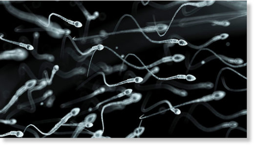 Click to enlarge sperm