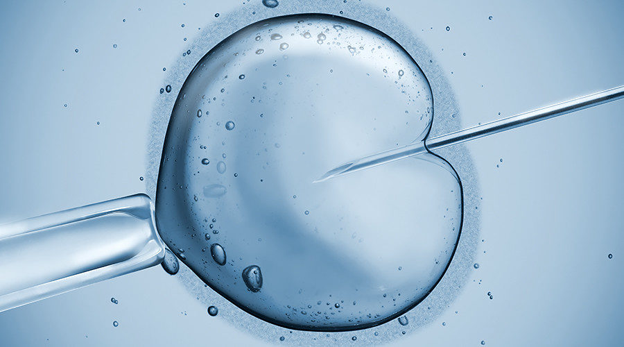DNA human embryo