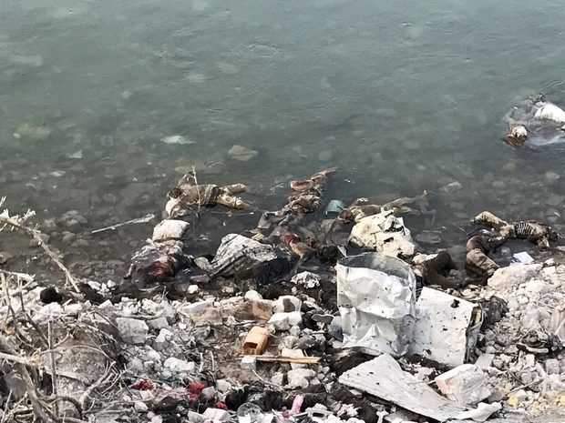 Click to enlarge Corpses bob in the waters of the Tigris