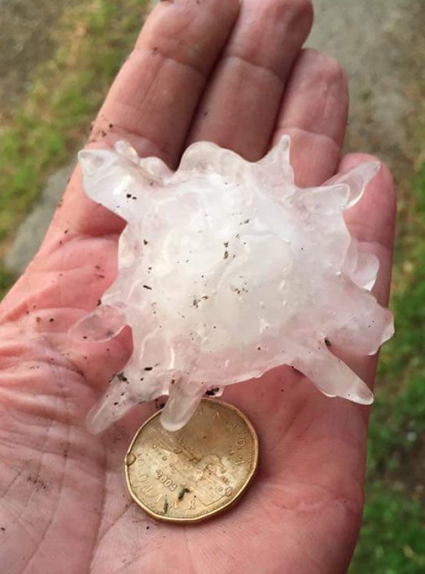Alexander, a community just west of Brandon, had hail the size of walnuts and eggs, Environment Canada reports