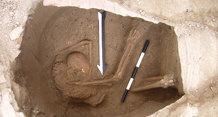 Canaanites DNA