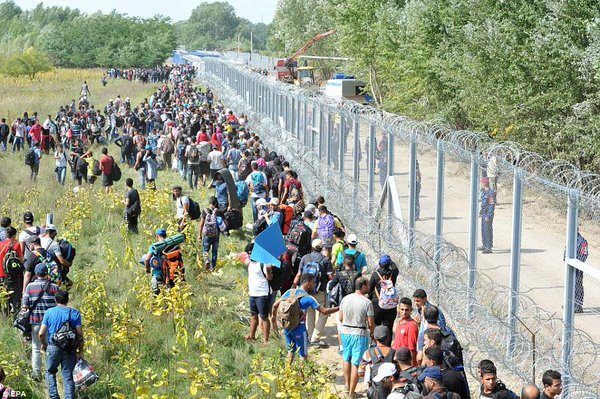 refugees