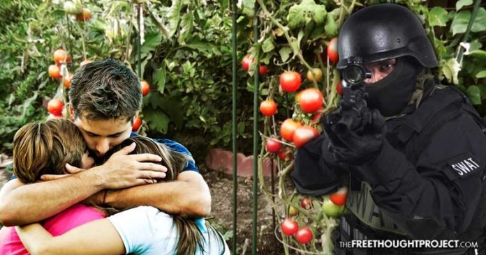 police raid garden
