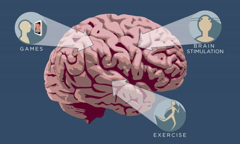 multi brain traing2