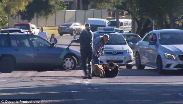 Click to enlarge In the aftermath of a vicious dog attack residents of a Sydney Street used poles and a scooter from the animal injuring another dog