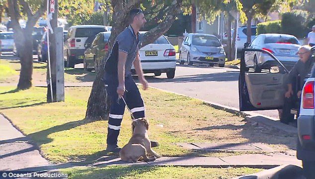 Click to enlarge The video shows a man (pictured) alleged to be the violent dogs owner taking his animal away