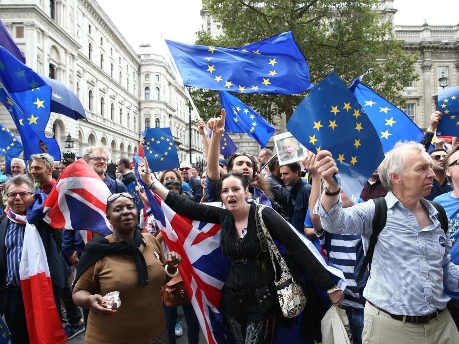 UK 'remainers'