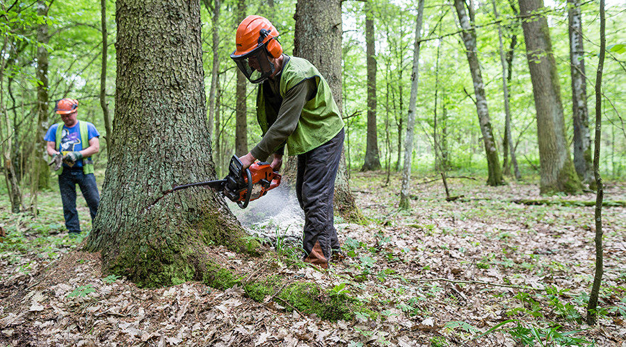 Logger