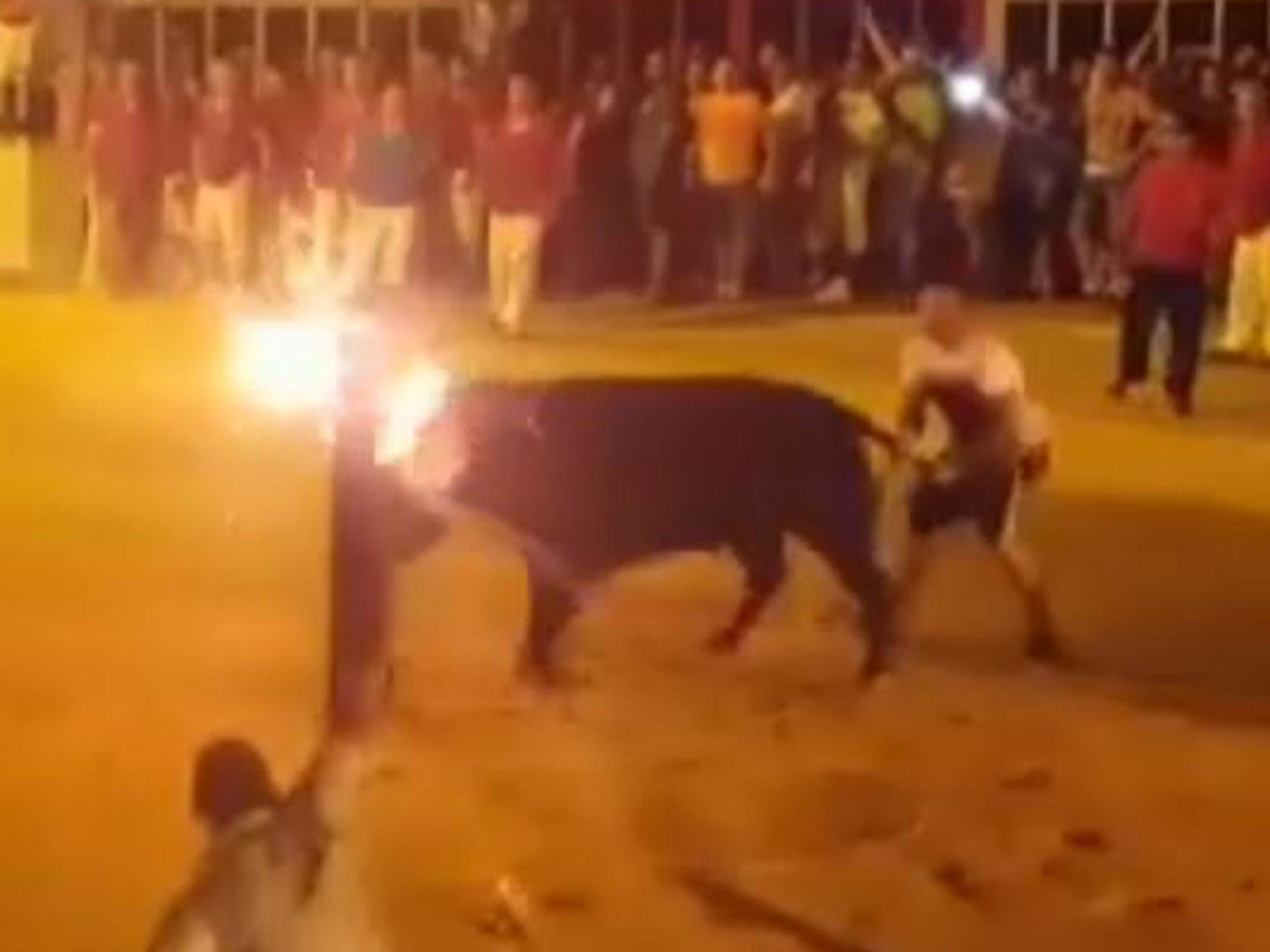 bull kills itself horns fire