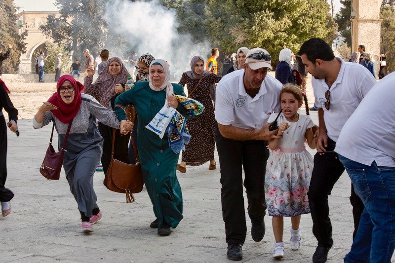 Israeli occupation forces