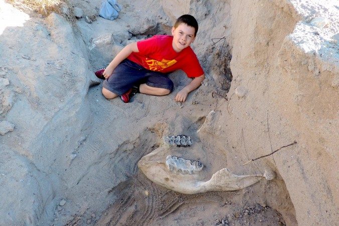 Jude Sparks poses with the jawbone of a stegomastodon