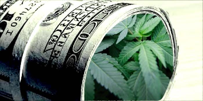 Cash crop