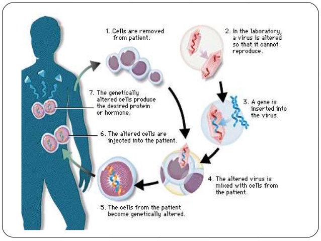 Click to enlarge gene therapy
