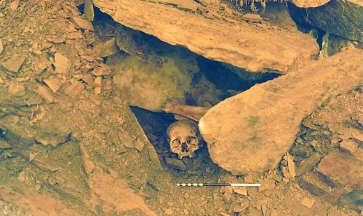 Scottish Achavanich Beaker burial skull