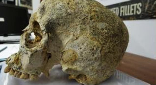 elongated skull achavanich beaker burial site