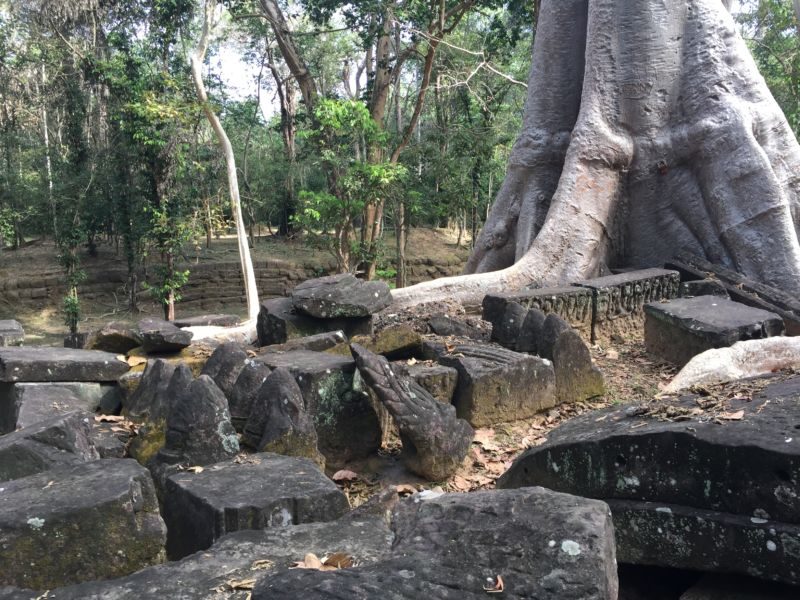 Ancient Remains in Cambodia