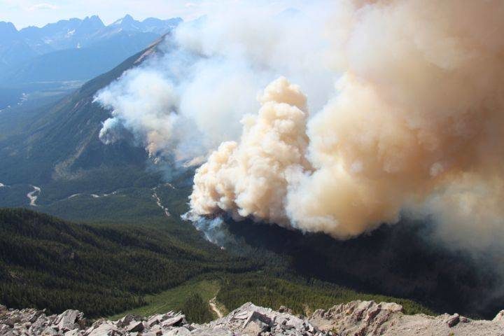 Verdant Creek Wildlfire