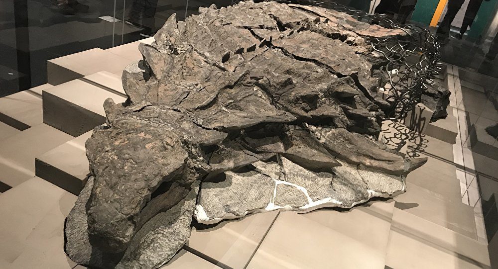 tank dinosaur