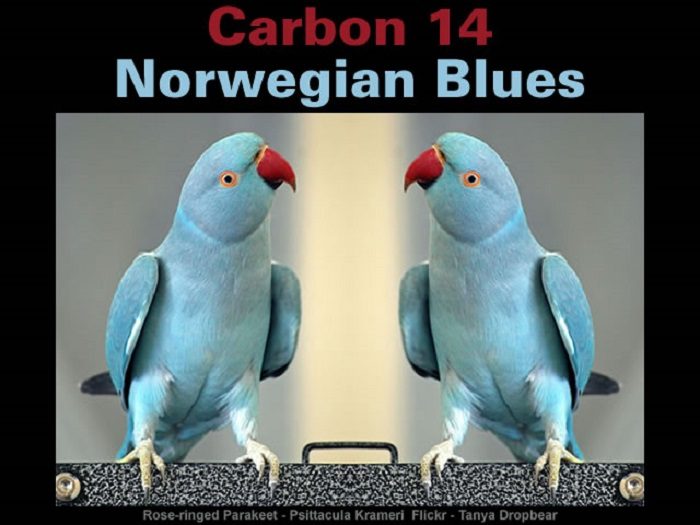 Carbo 14  Norwegian Blues
