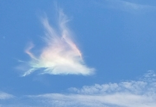 Click to enlarge Sun halo over Livonia, MI