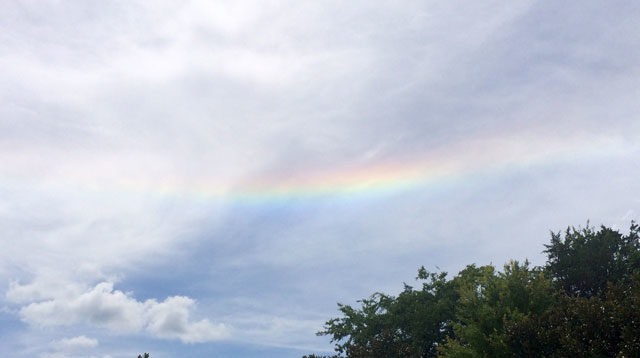 Circumhorizontal arc in TN