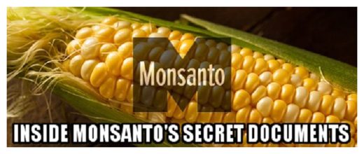 Monsanto