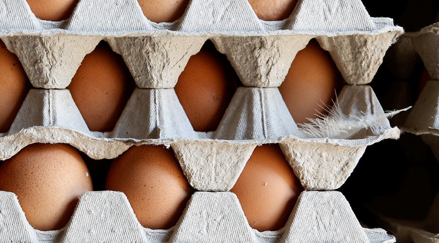 eggs