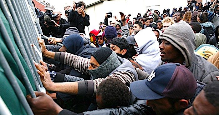 migrants