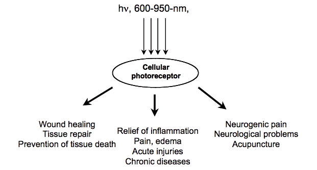 Click to enlarge low level light therapy