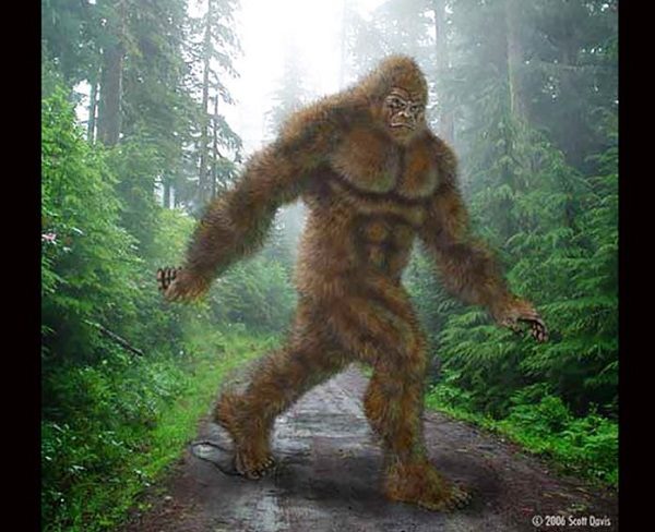 Bigfoot