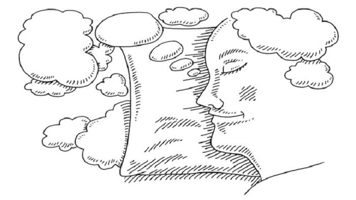 Click to enlarge Sleeping Brain