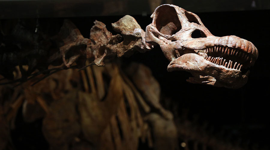 titanosaur
