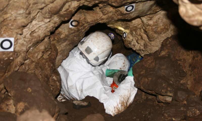 archaeologist alps