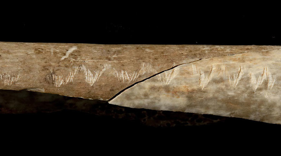 Click to enlarge carved bones